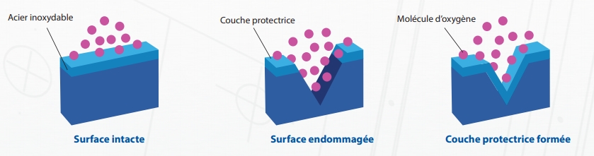 Stalgast by ProCuisson Mécanisme de la passivation de l'acier inoxydable